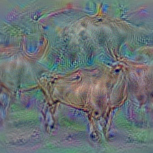 n02403003 ox